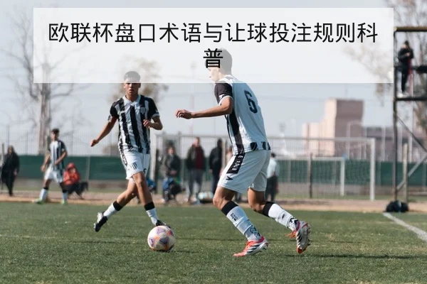 CBA球队轮换与替补上场效率数据查询